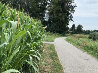 Gemuetlich Wohnen In Messenaehe, Feenzian FDH Esterno foto